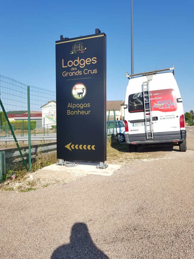 WhatsApp Image 2026-02-20 at 11.04.52 (1)